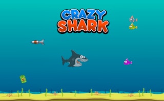 Image Crazy Shark