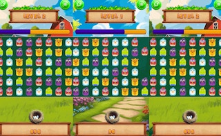 Image Match Pop Birds