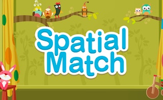 Image Spatial Match
