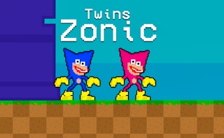 Image Twins Zonic